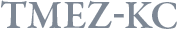 Tajima's AI Embroidery Machines TMEZ-KC