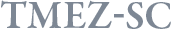 Tajima's AI Embroidery Machines TMEZ-SC